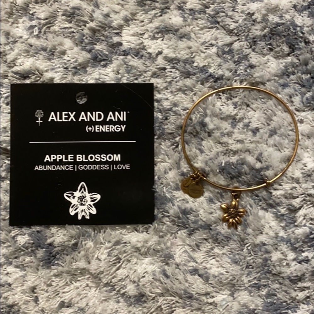 Alex and Ani Bracelet